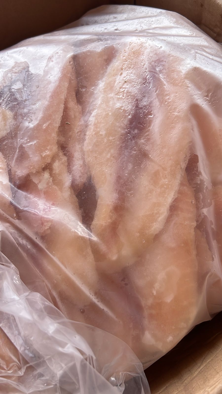 Fillet Dori Skinless Glassing